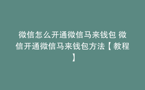 微信怎么开通微信马来钱包 微信开通微信马来钱包方法【教程】