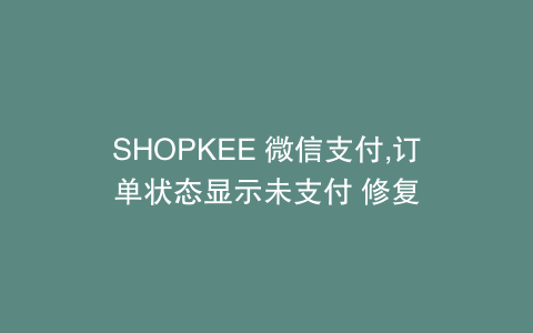 SHOPKEE 微信支付,订单状态显示未支付 修复