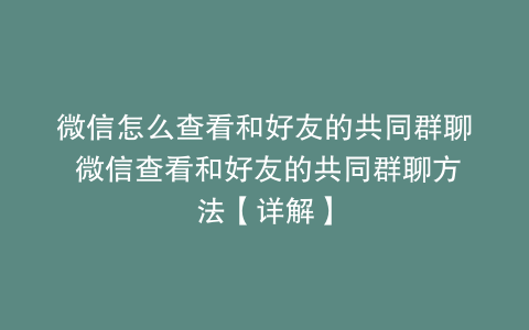微信怎么查看和好友的共同群聊 微信查看和好友的共同群聊方法【详解】