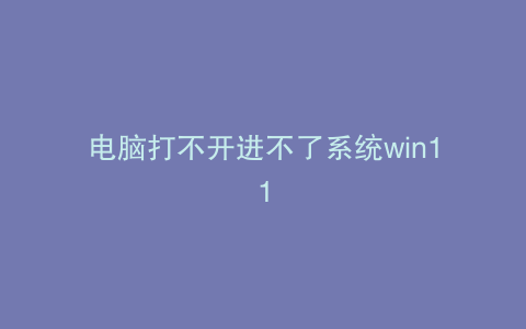 电脑打不开进不了系统win11