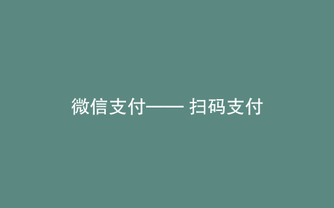 微信支付—— 扫码支付