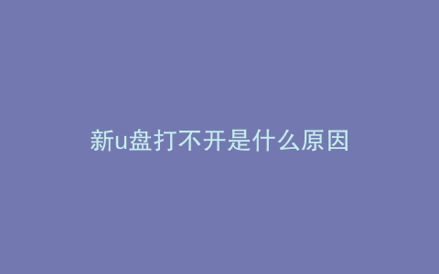 新u盘打不开是什么原因