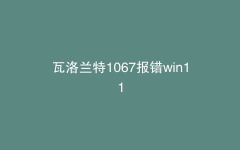 瓦洛兰特1067报错win11