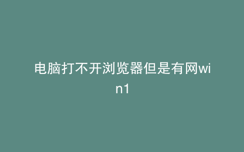电脑打不开浏览器但是有网win1