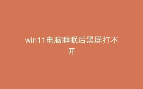 win11电脑睡眠后黑屏打不开