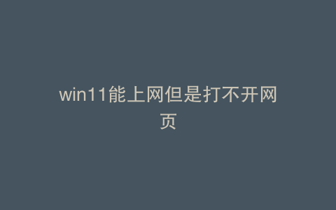 win11能上网但是打不开网页