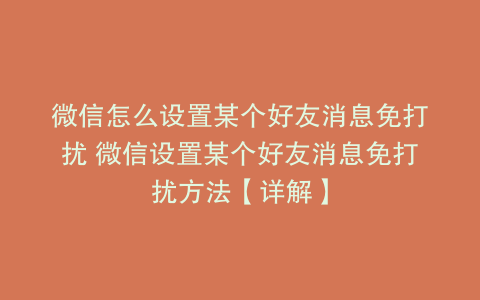 微信怎么设置某个好友消息免打扰 微信设置某个好友消息免打扰方法【详解】