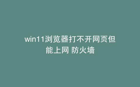 win11浏览器打不开网页但能上网 防火墙