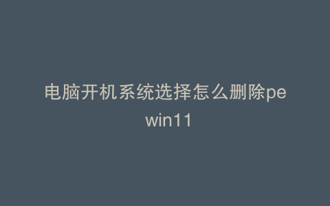 电脑开机系统选择怎么删除pe win11