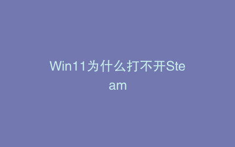 Win11为什么打不开Steam