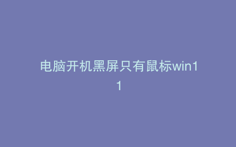 电脑开机黑屏只有鼠标win11