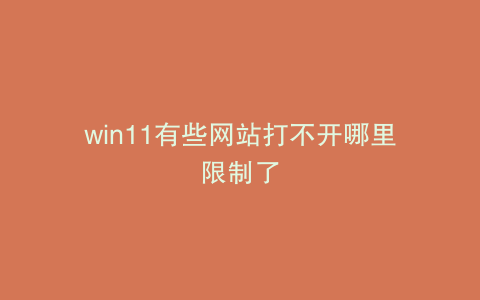 win11有些网站打不开哪里限制了