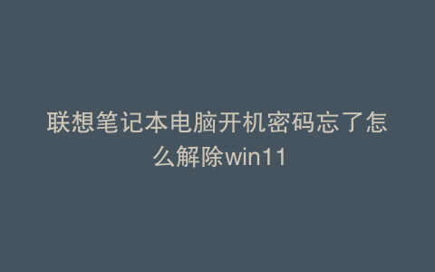 联想笔记本电脑开机密码忘了怎么解除win11