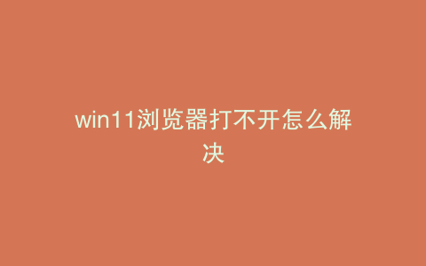 win11浏览器打不开怎么解决