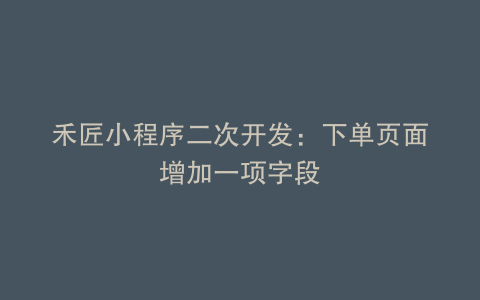 禾匠小程序二次开发：下单页面增加一项字段