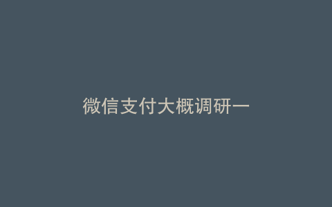 微信支付大概调研一