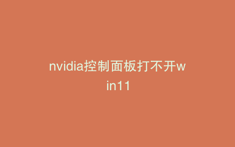 nvidia控制面板打不开win11