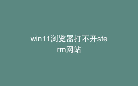 win11浏览器打不开sterm网站