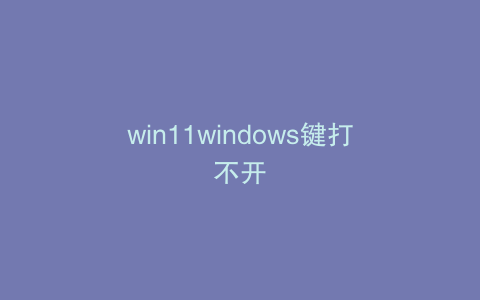 win11windows键打不开