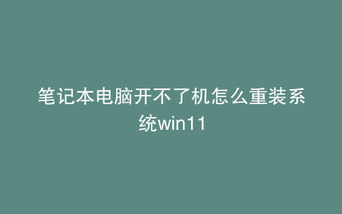笔记本电脑开不了机怎么重装系统win11