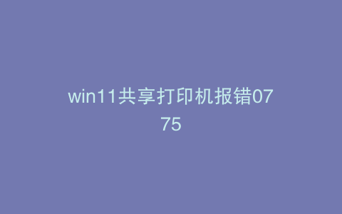 win11共享打印机报错0775