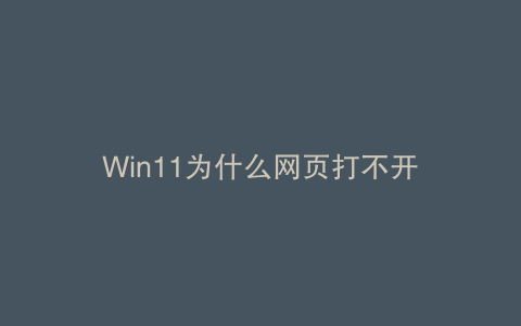 Win11为什么网页打不开