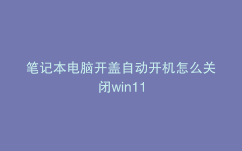 笔记本电脑开盖自动开机怎么关闭win11