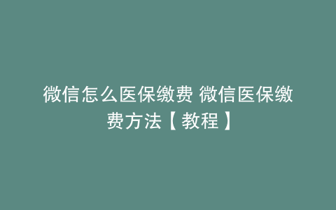 微信怎么医保缴费 微信医保缴费方法【教程】