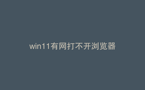 win11有网打不开浏览器