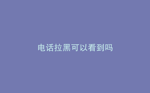 电话拉黑可以看到吗