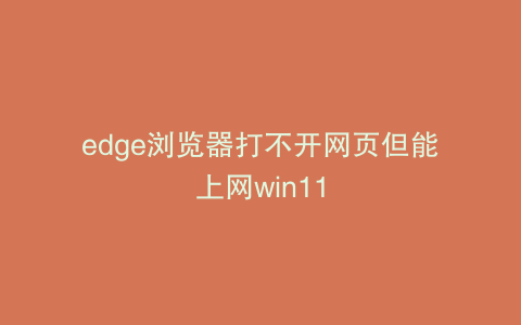 edge浏览器打不开网页但能上网win11