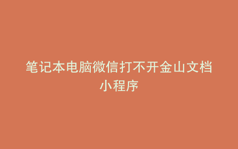 笔记本电脑微信打不开金山文档小程序