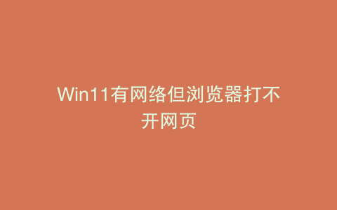 Win11有网络但浏览器打不开网页