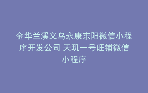 金华兰溪义乌永康东阳微信小程序开发公司 天玑一号旺铺微信小程序