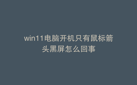 win11电脑开机只有鼠标箭头黑屏怎么回事