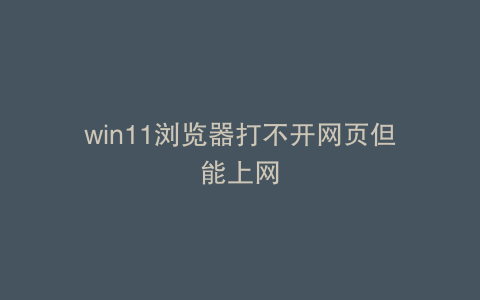 win11浏览器打不开网页但能上网
