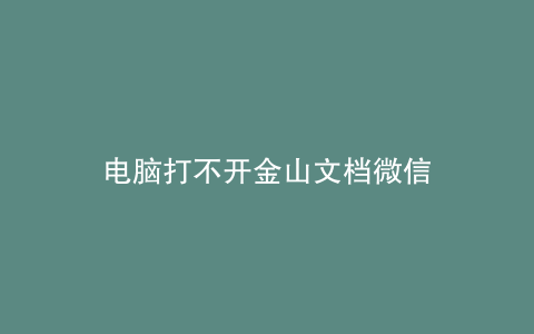 电脑打不开金山文档微信