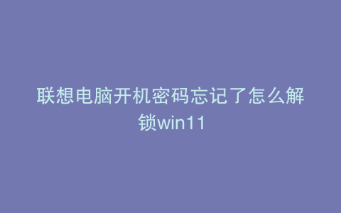 联想电脑开机密码忘记了怎么解锁win11