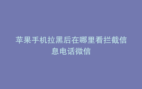 苹果手机拉黑后在哪里看拦截信息电话微信