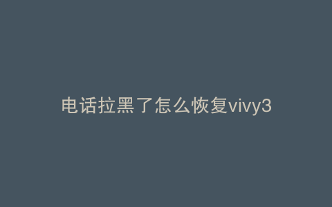 电话拉黑了怎么恢复vivy3