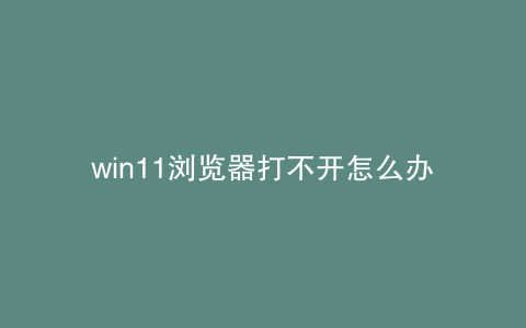 win11浏览器打不开怎么办