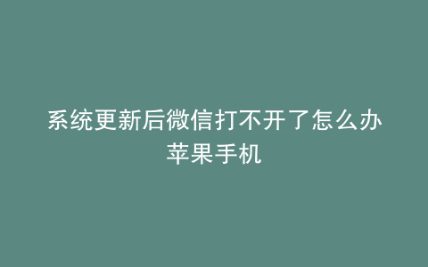 系统更新后微信打不开了怎么办苹果手机