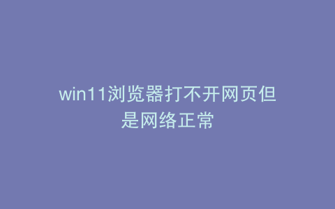 win11浏览器打不开网页但是网络正常