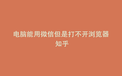 电脑能用微信但是打不开浏览器 知乎