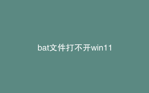 bat文件打不开win11