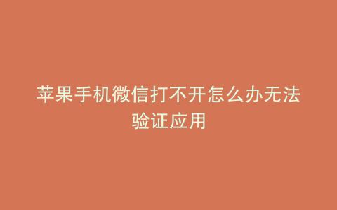 苹果手机微信打不开怎么办无法验证应用