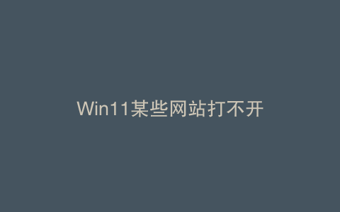 Win11某些网站打不开