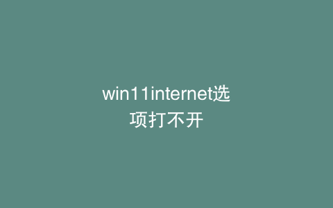 win11internet选项打不开