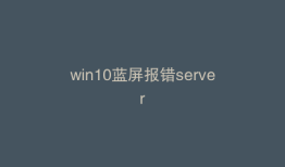 win10蓝屏报错server