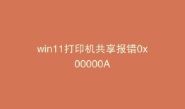 win11打印机共享报错0x00000A